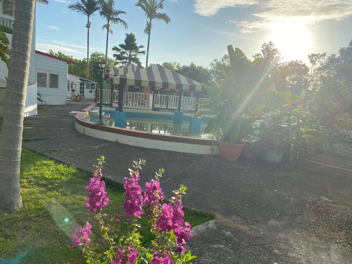 وجي Sunny Villa Homestay المظهر الخارجي الصورة